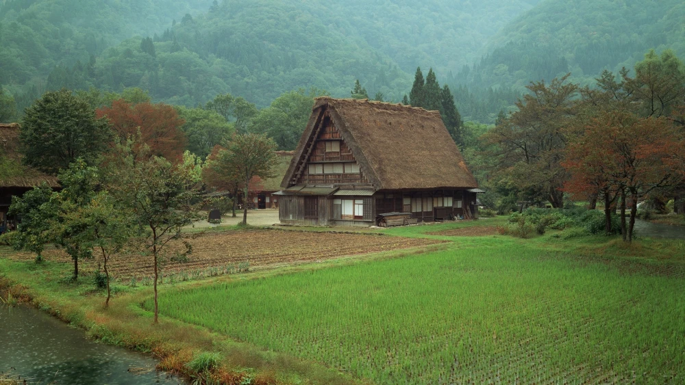 Cottage