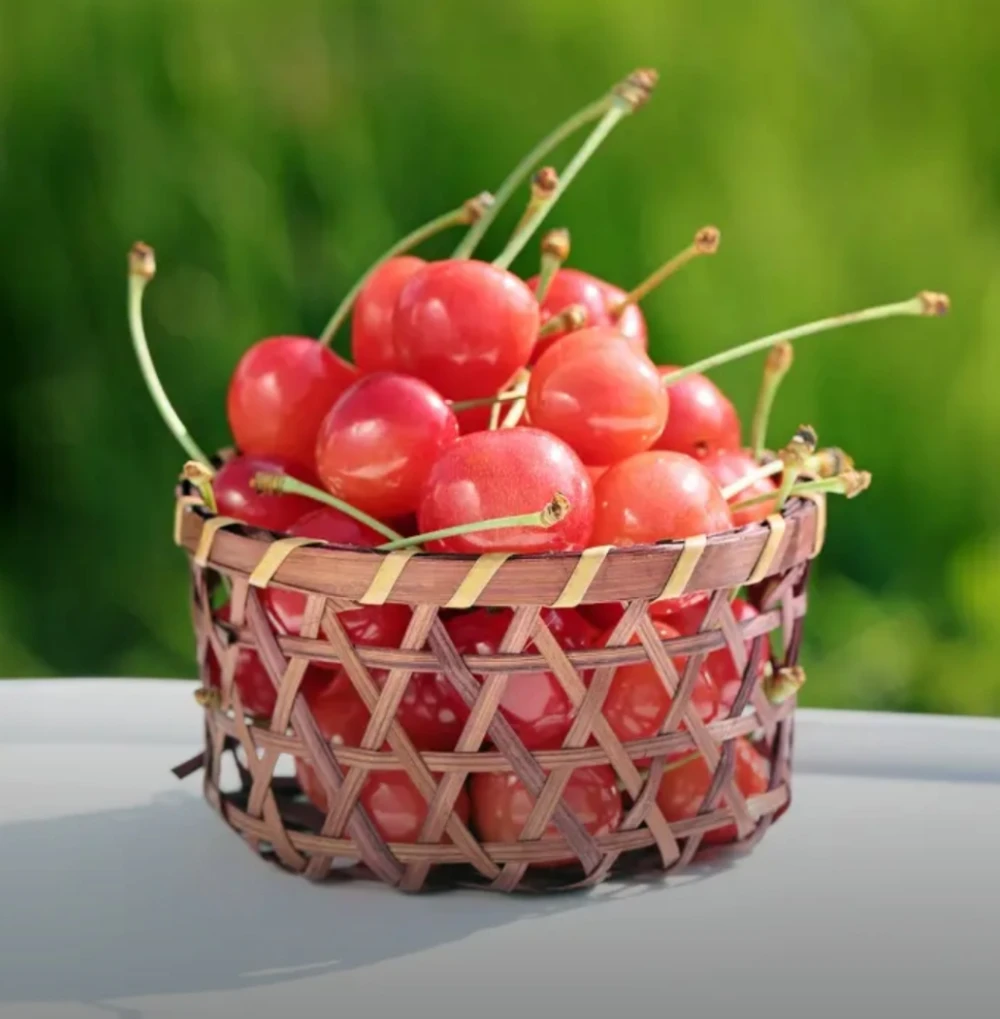 cherry
