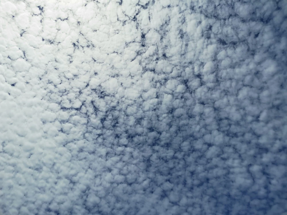 sky 130