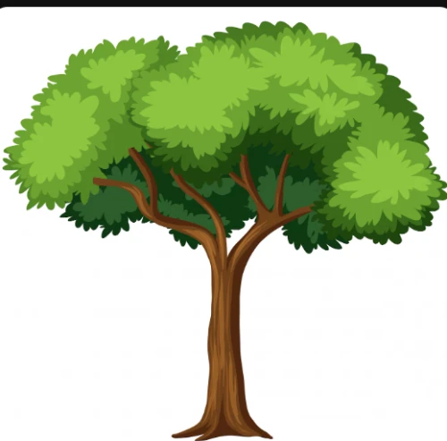 My tree