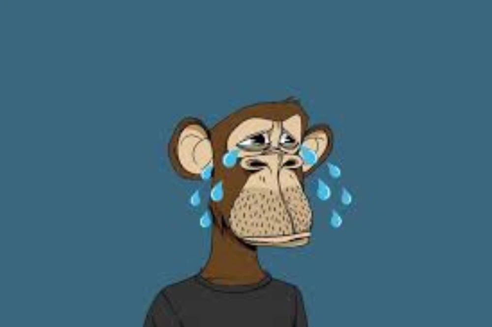 sad monkey