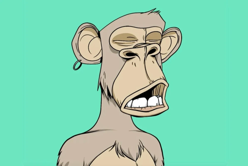 monkey punk