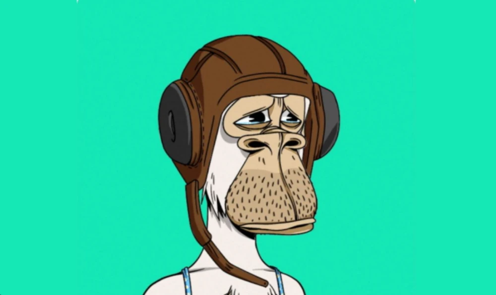 hat monkey