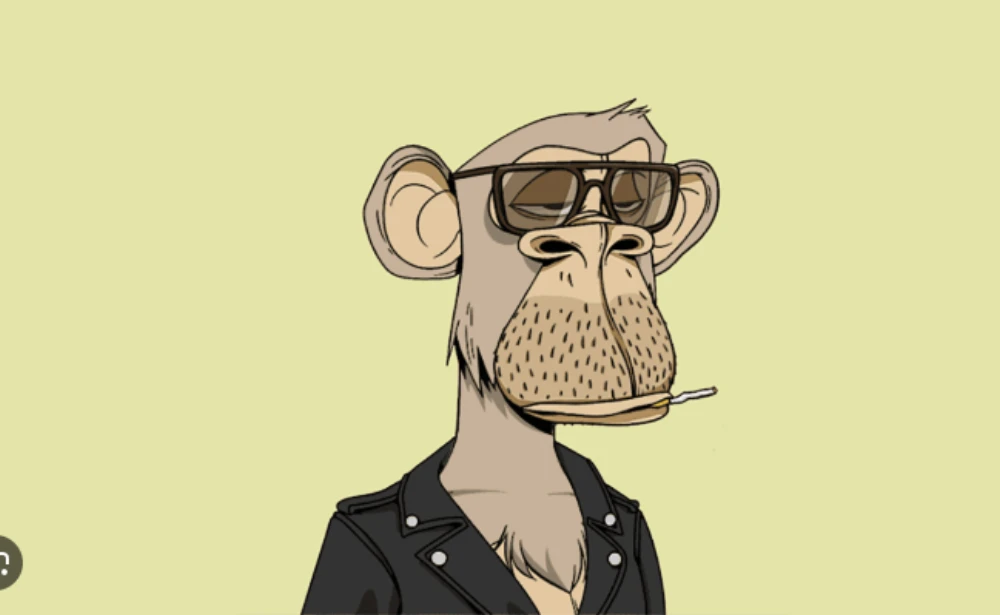 punk monkey 2