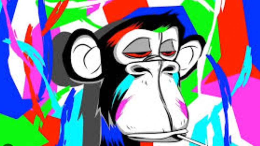 gravity monkey