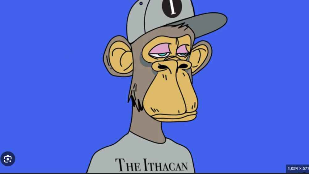 hat monkey