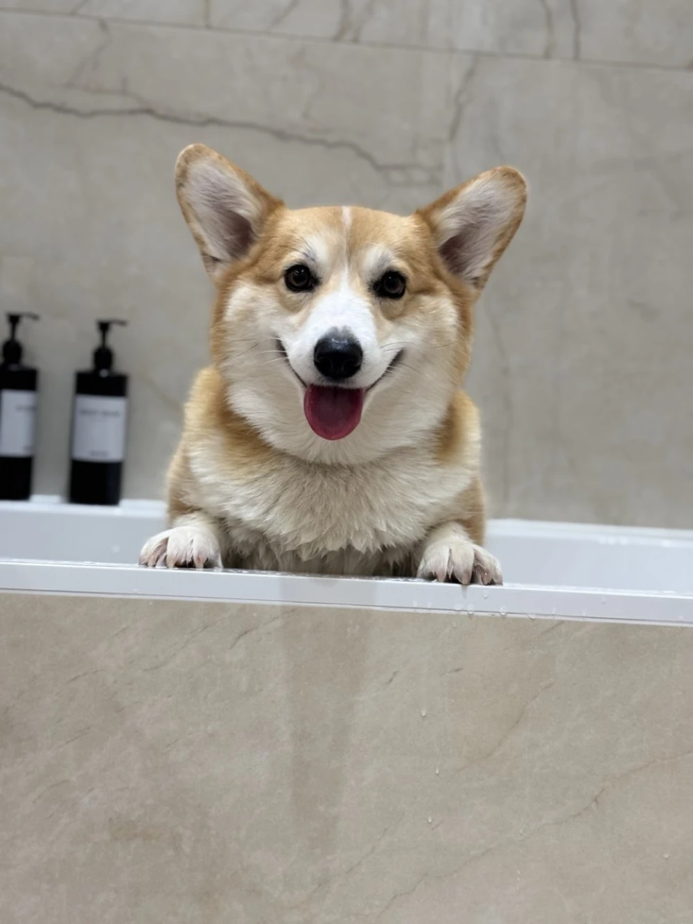 Simba