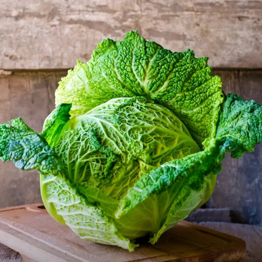 cabbage