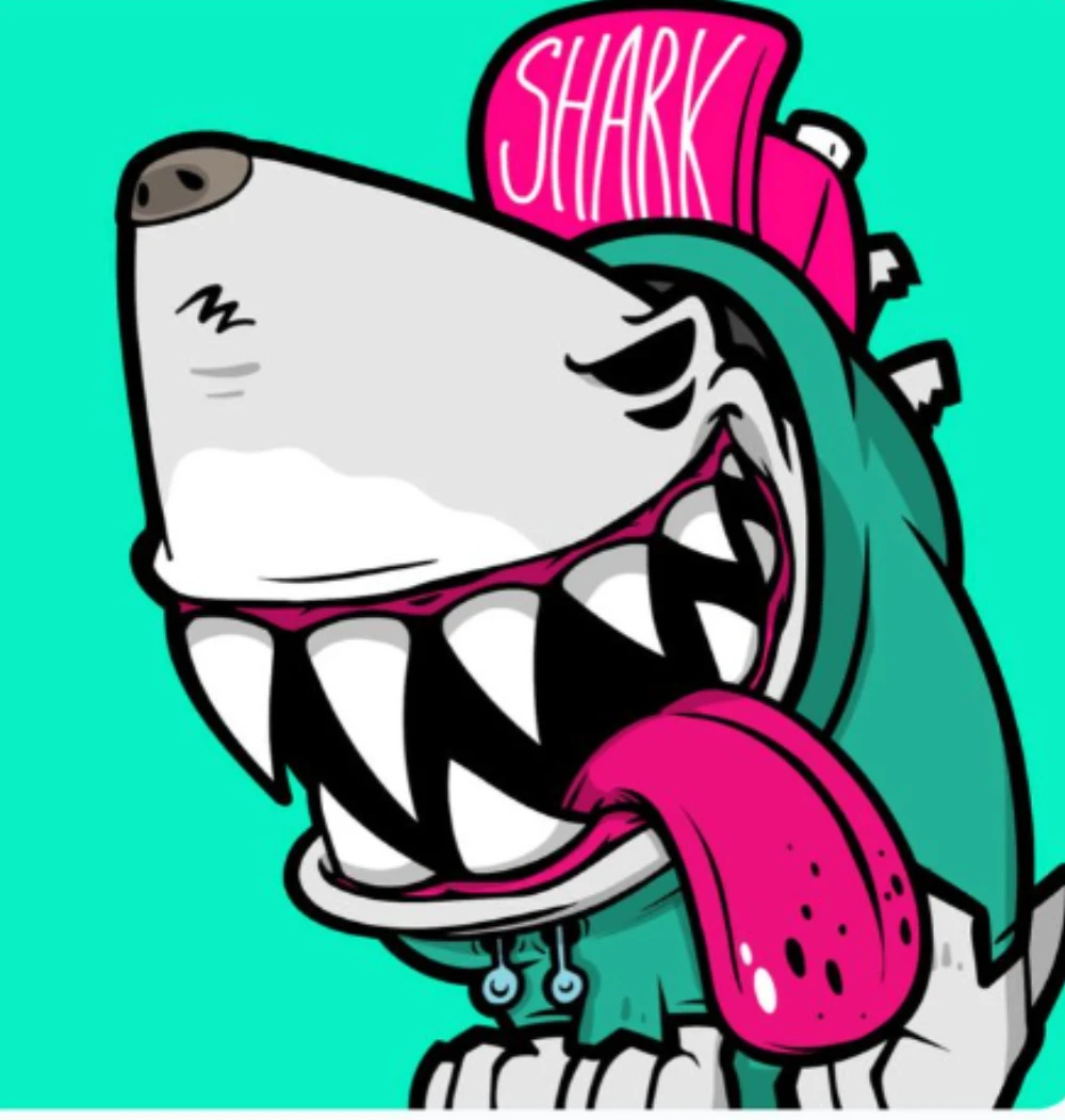 punk shark