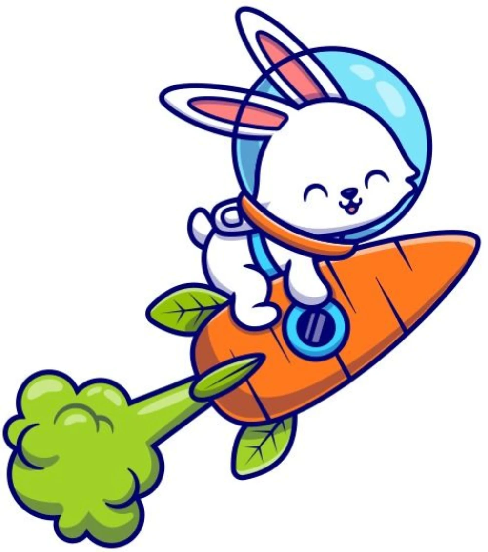 Rabbit Astronaut