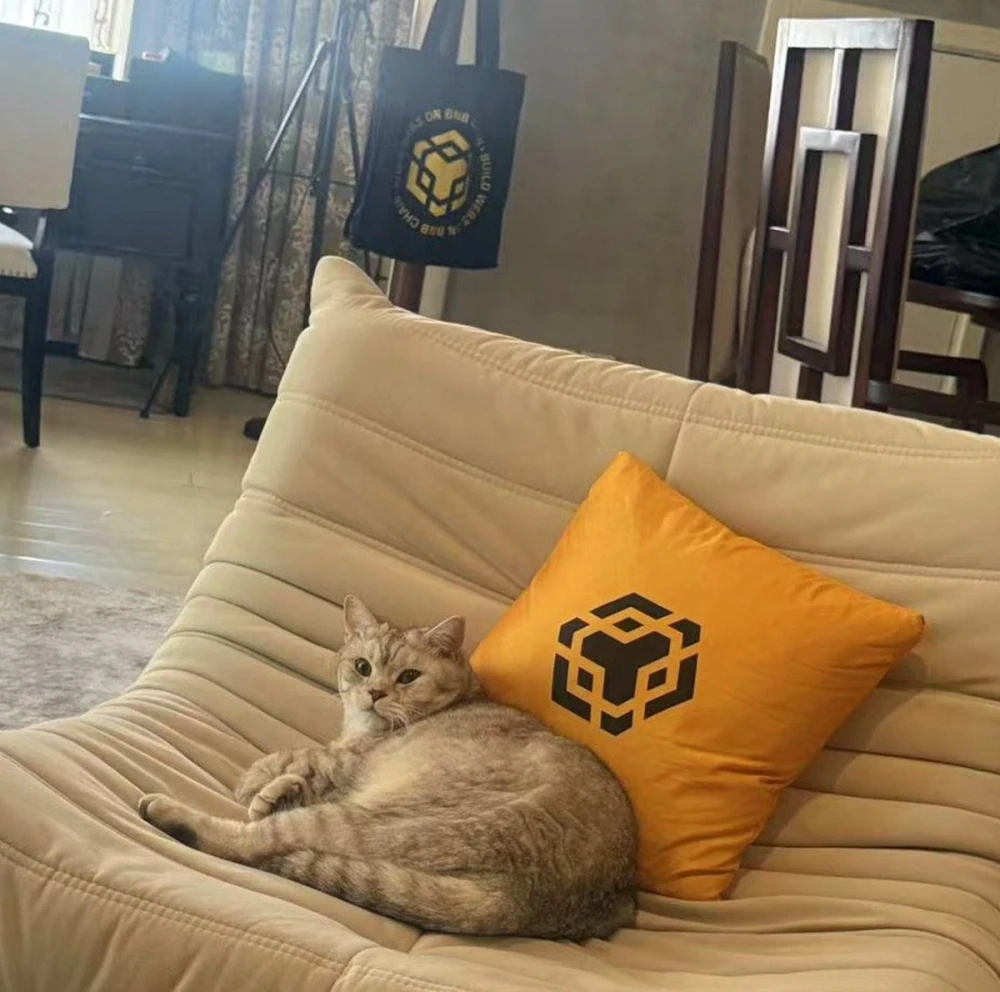 BSC Feline Overlord