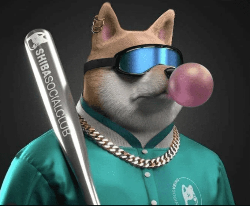 shibu
