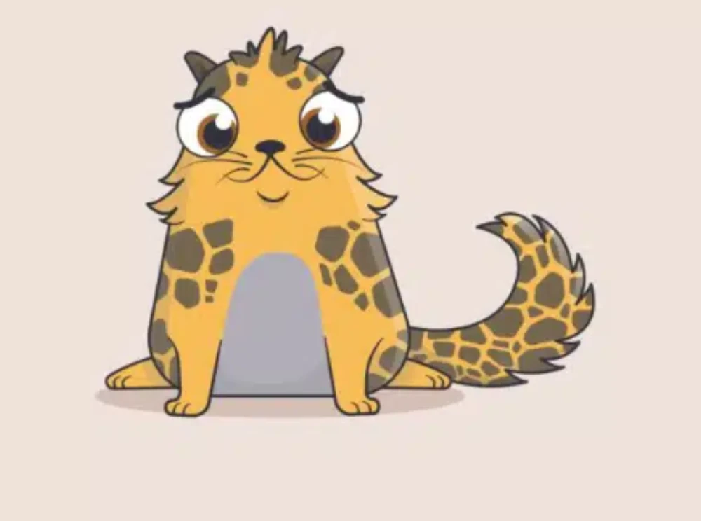 poli poli