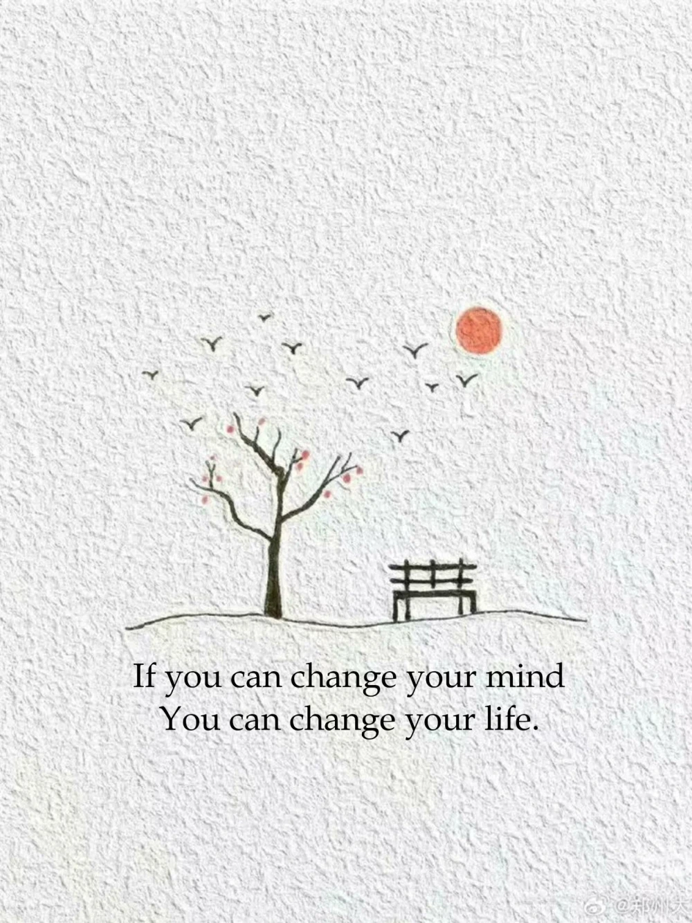 Lifesty
