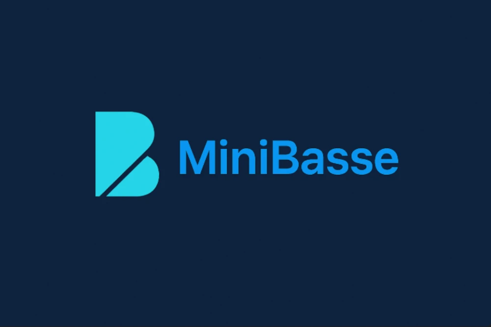 MiniBasse