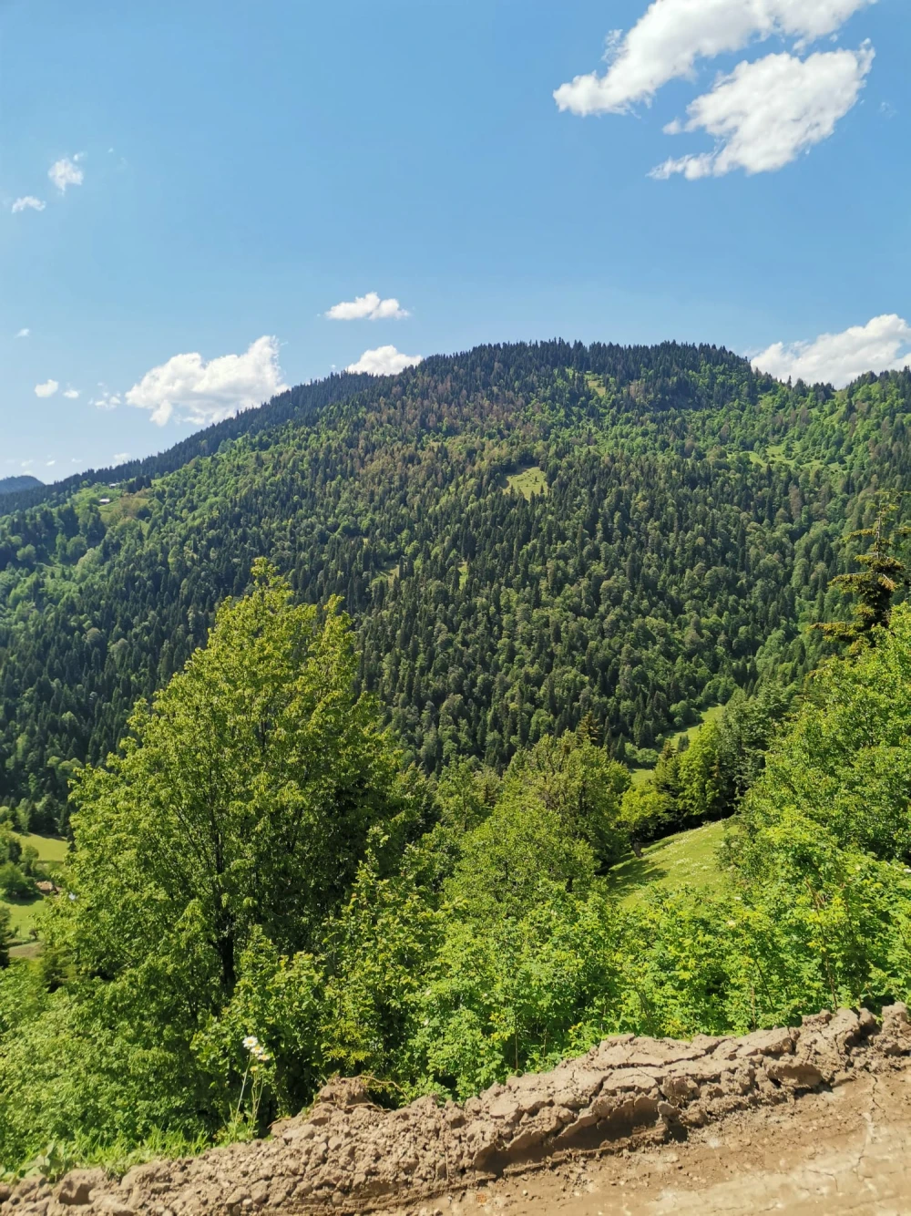 mountain