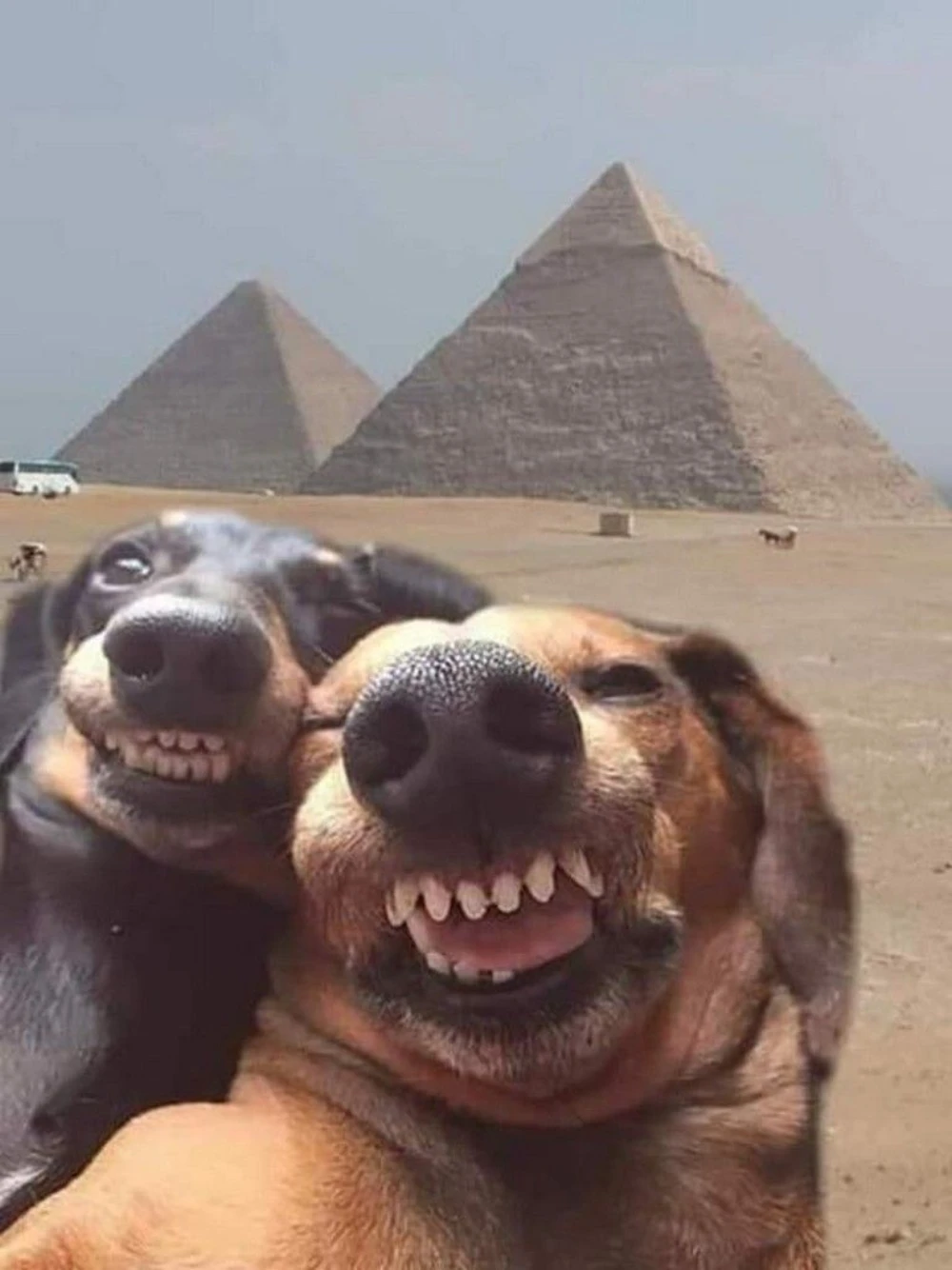 gre