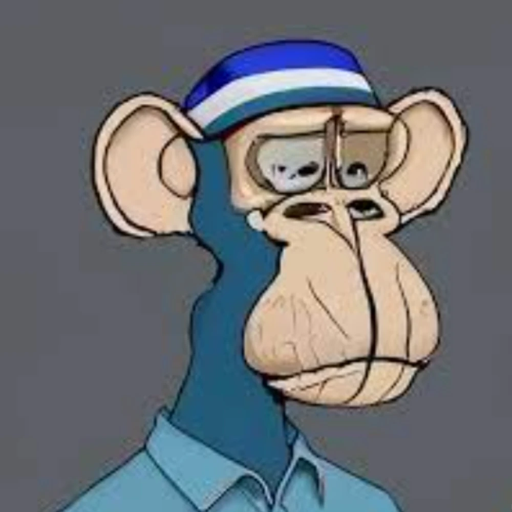 monkey punk v