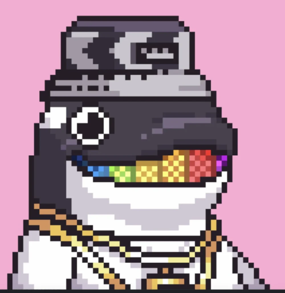 dolphinonika