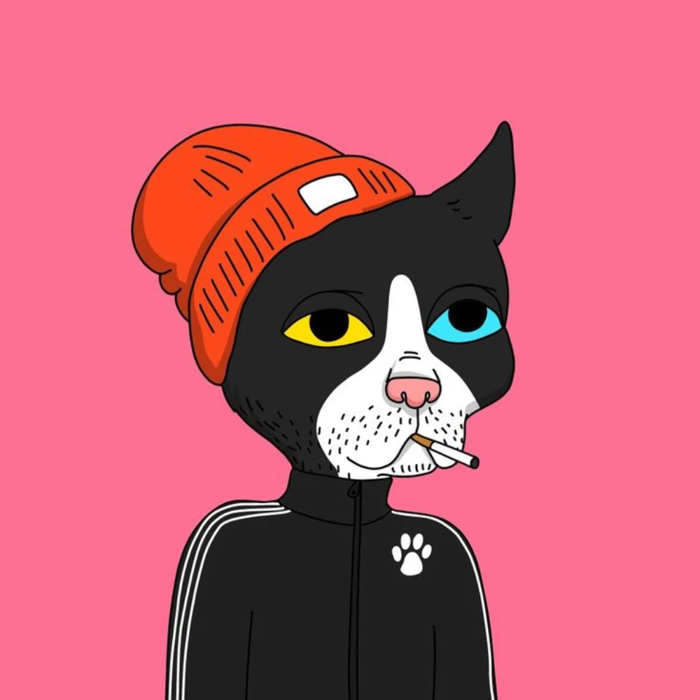 High Kitty