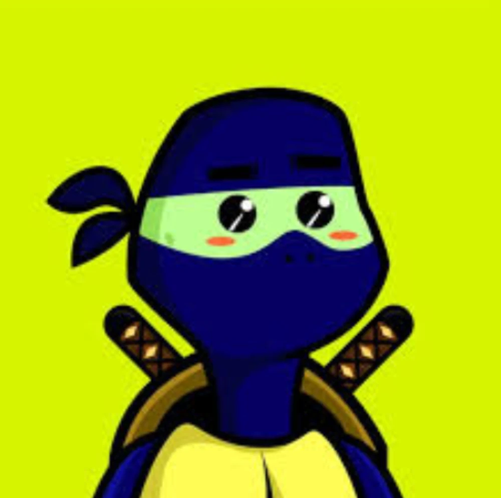 ninja turtle