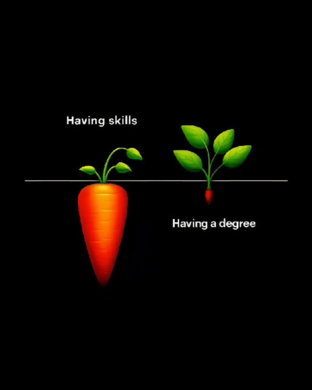 Carrot