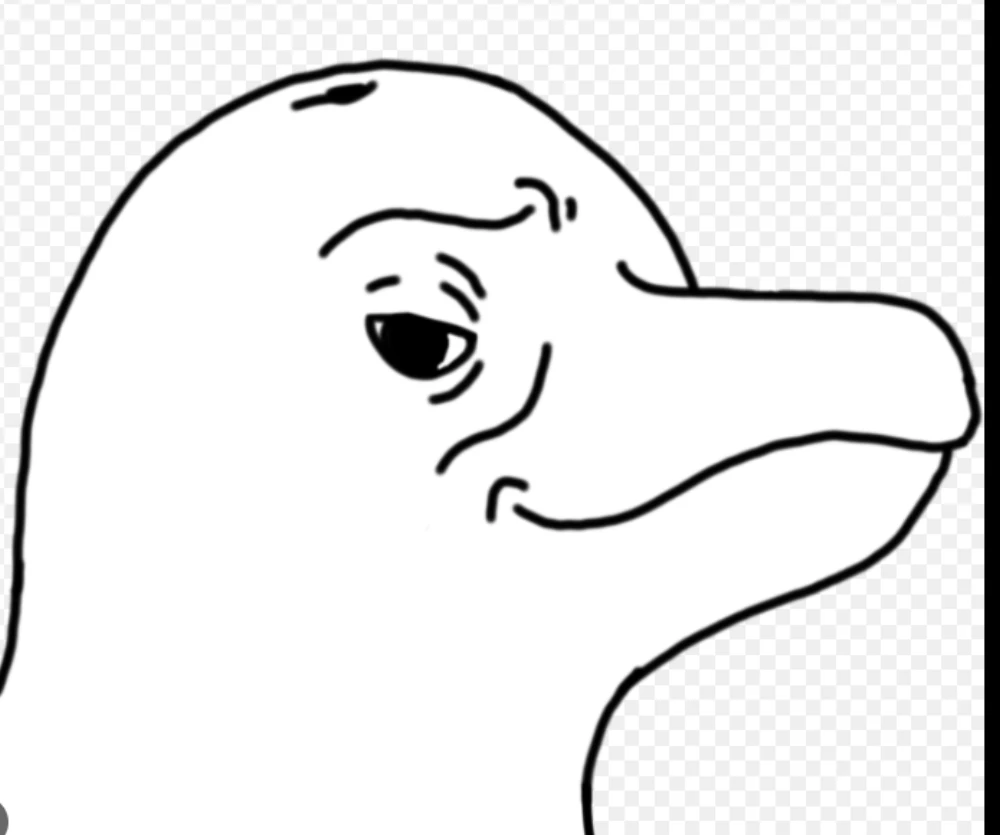 dolpinu