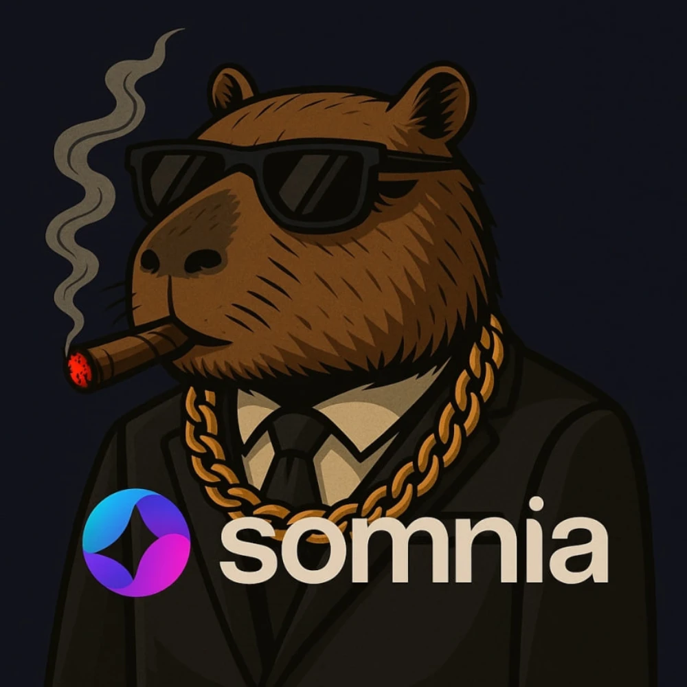 Somnia GANG