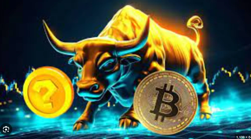 bull run
