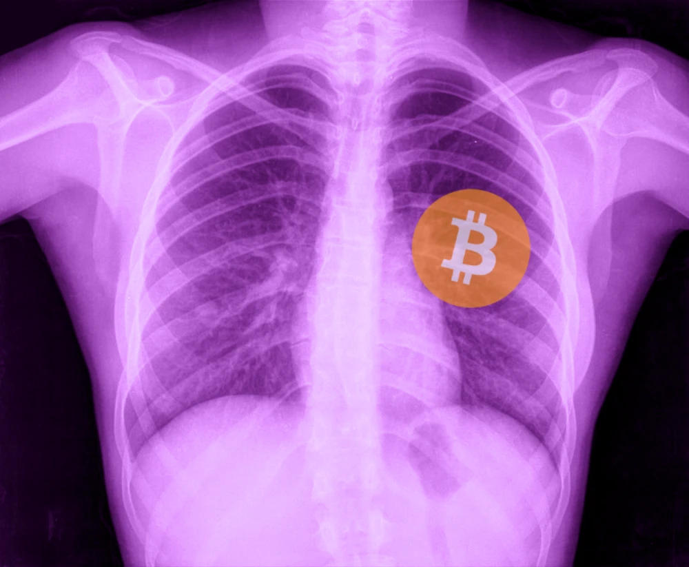 The Bitcoin Heartbeat