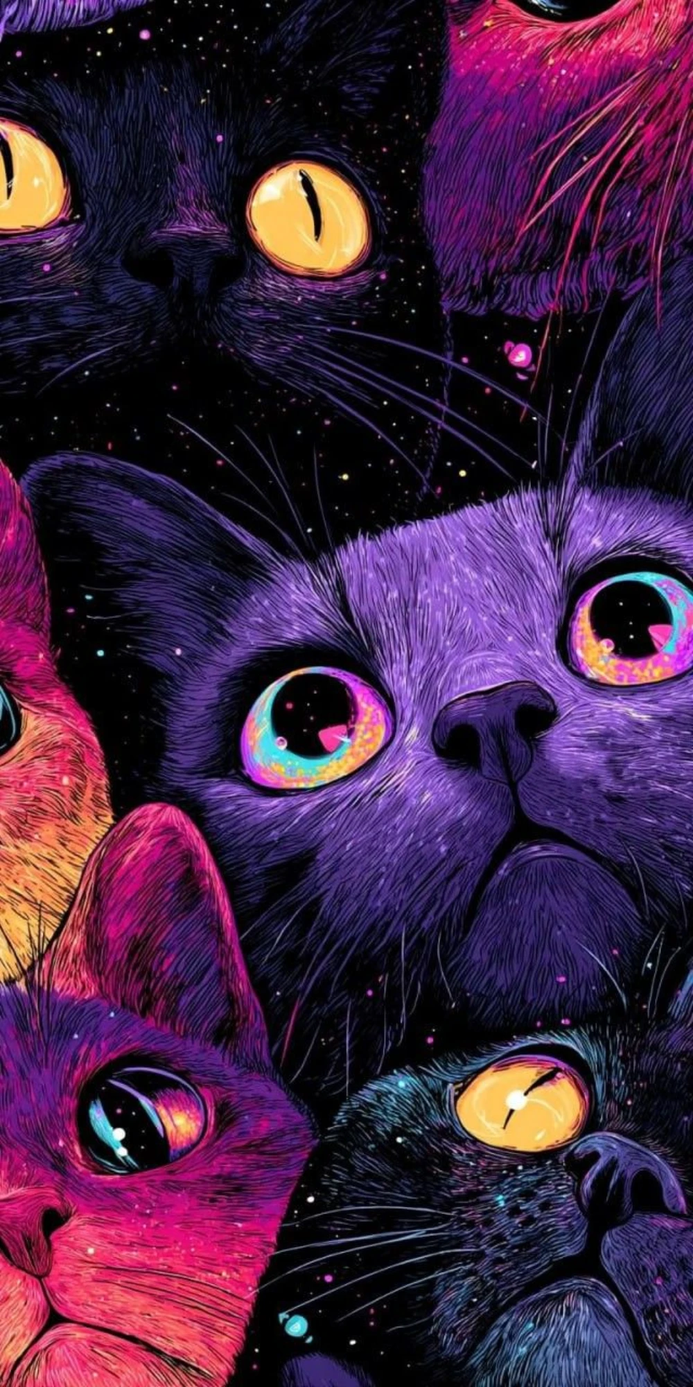 Beautiful cats