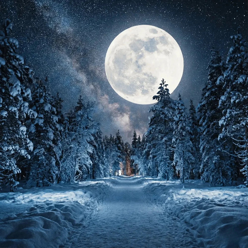 🌕 Moonlit Silence ❄️✨