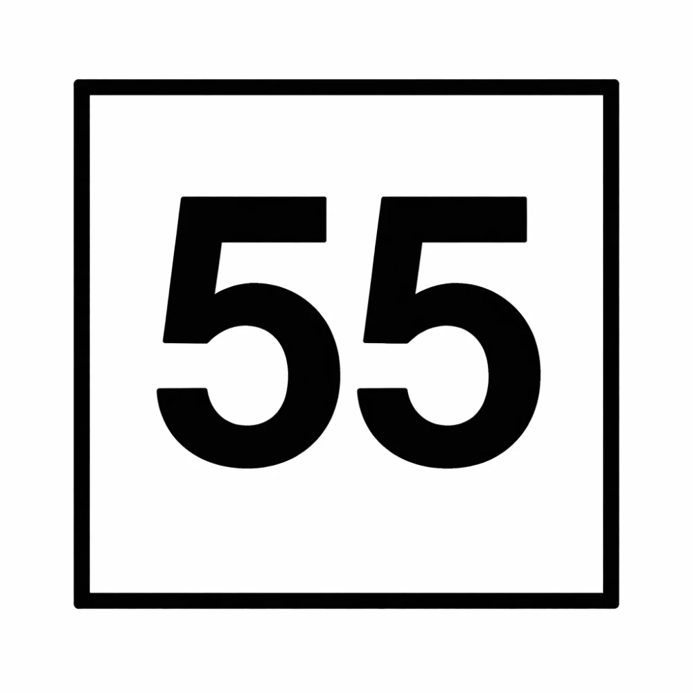 Nam Coin 55