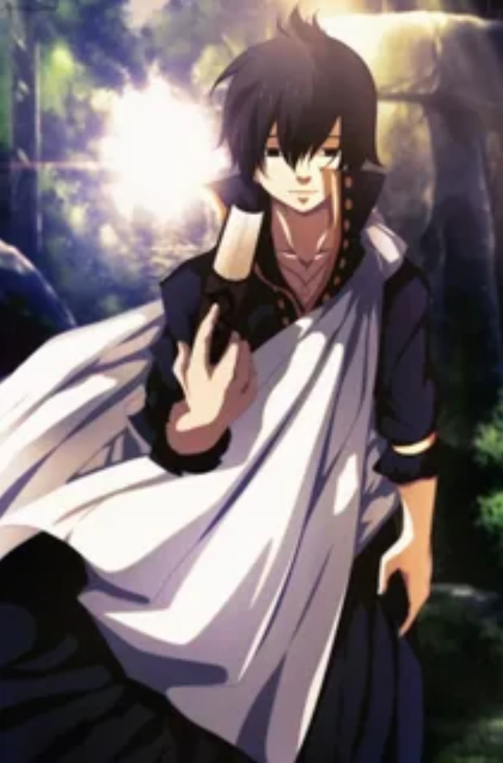 Fairy Tail Z