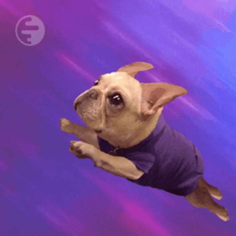 Purple $DOG