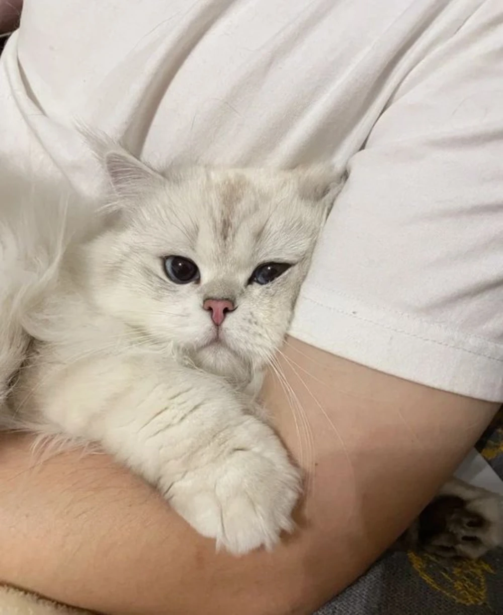 Hug Time