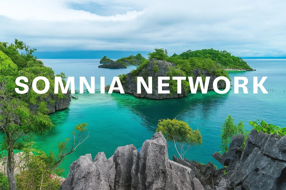 Somnia Network