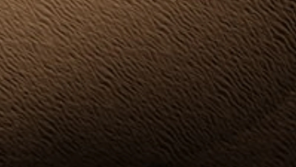 Foot