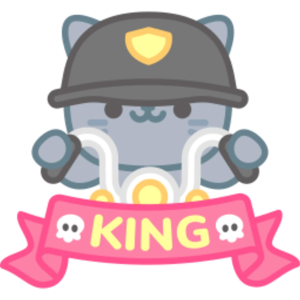 qt3QSi281435