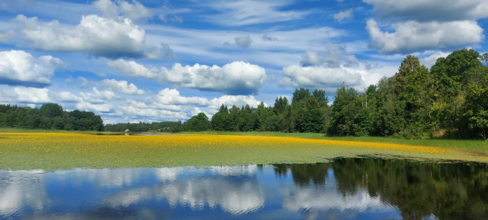 lake13