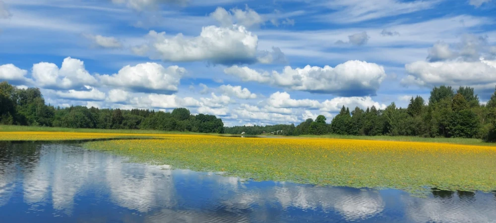 lake14