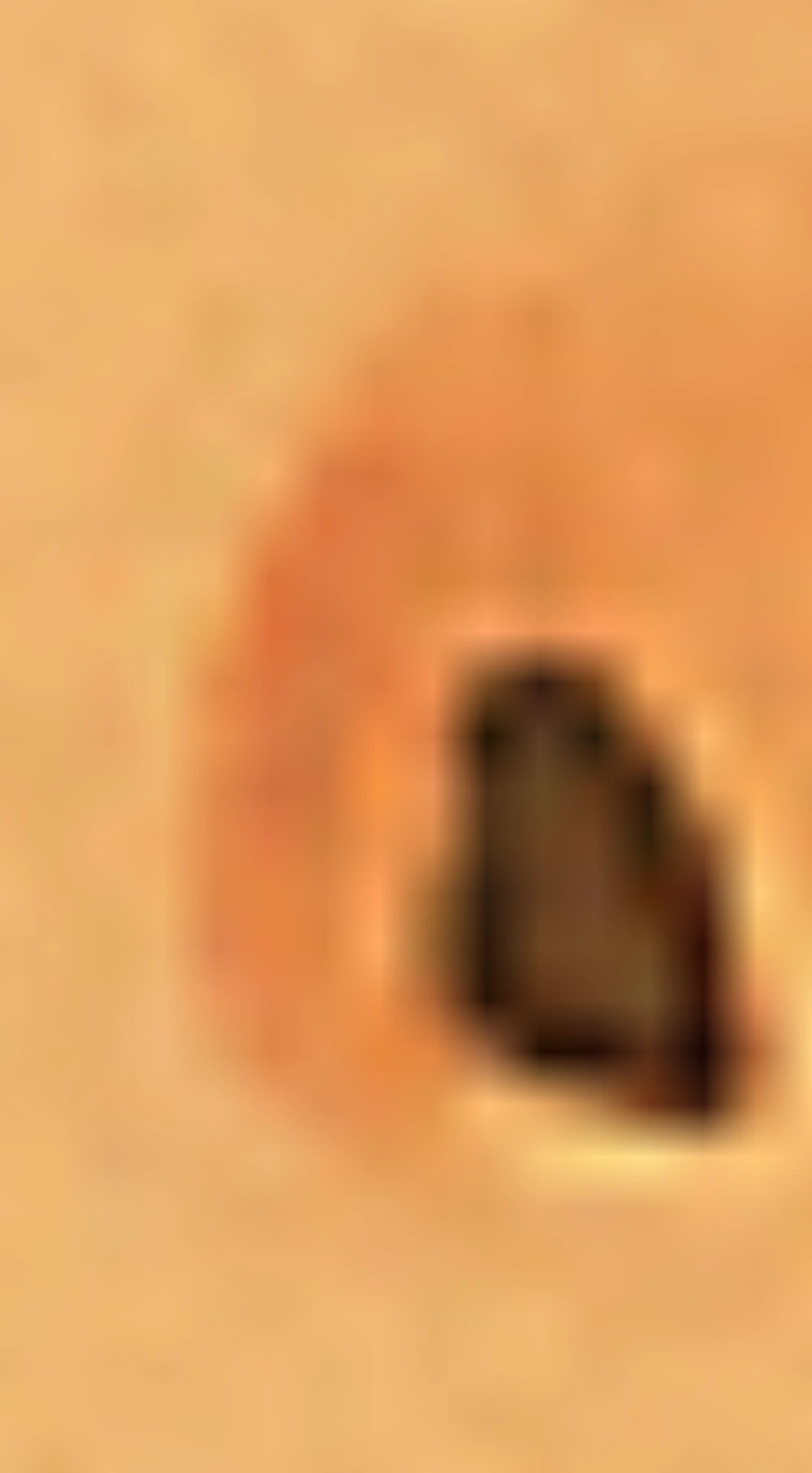 HFH