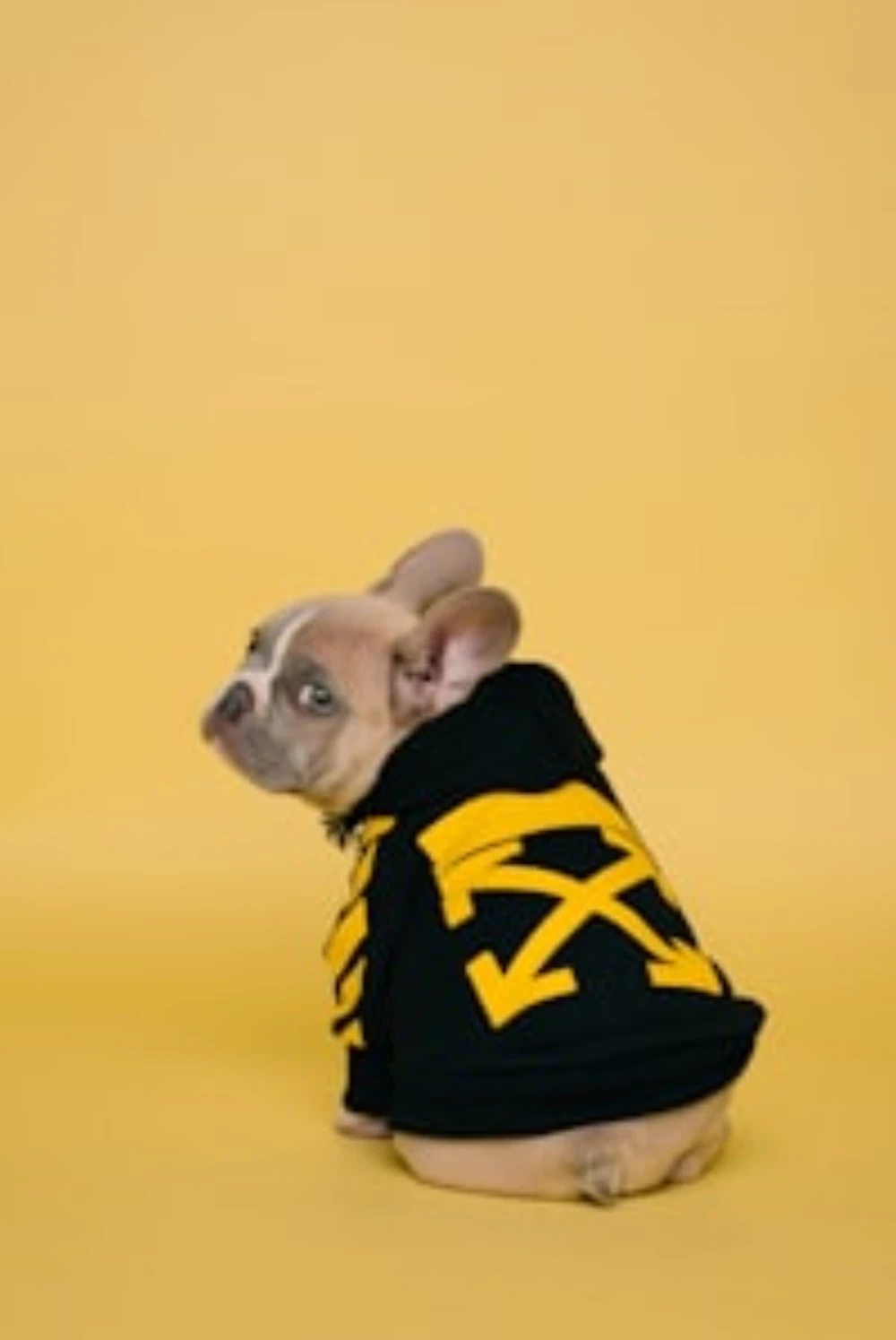 Six