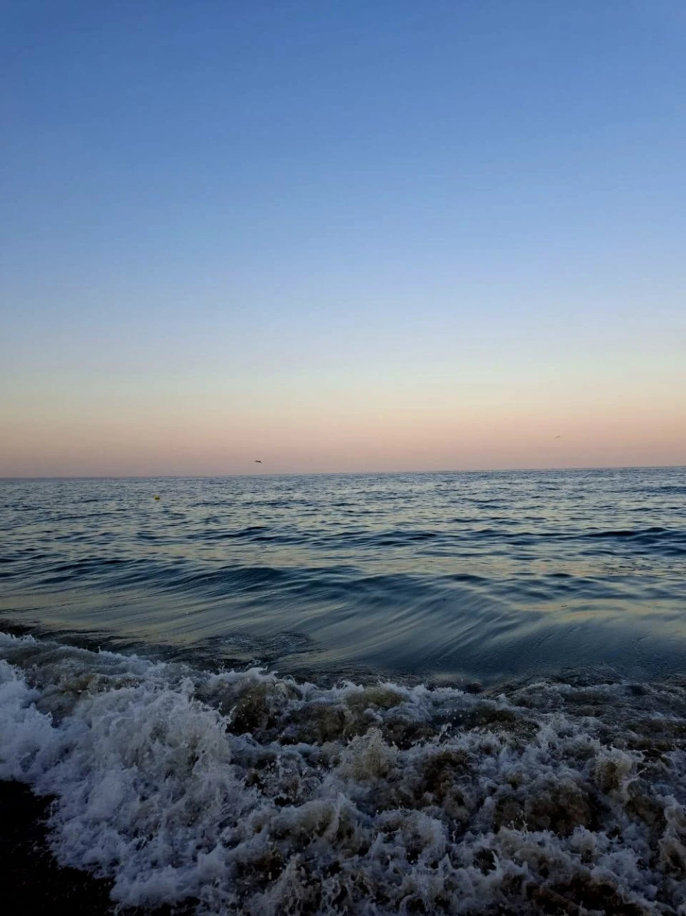 sea59