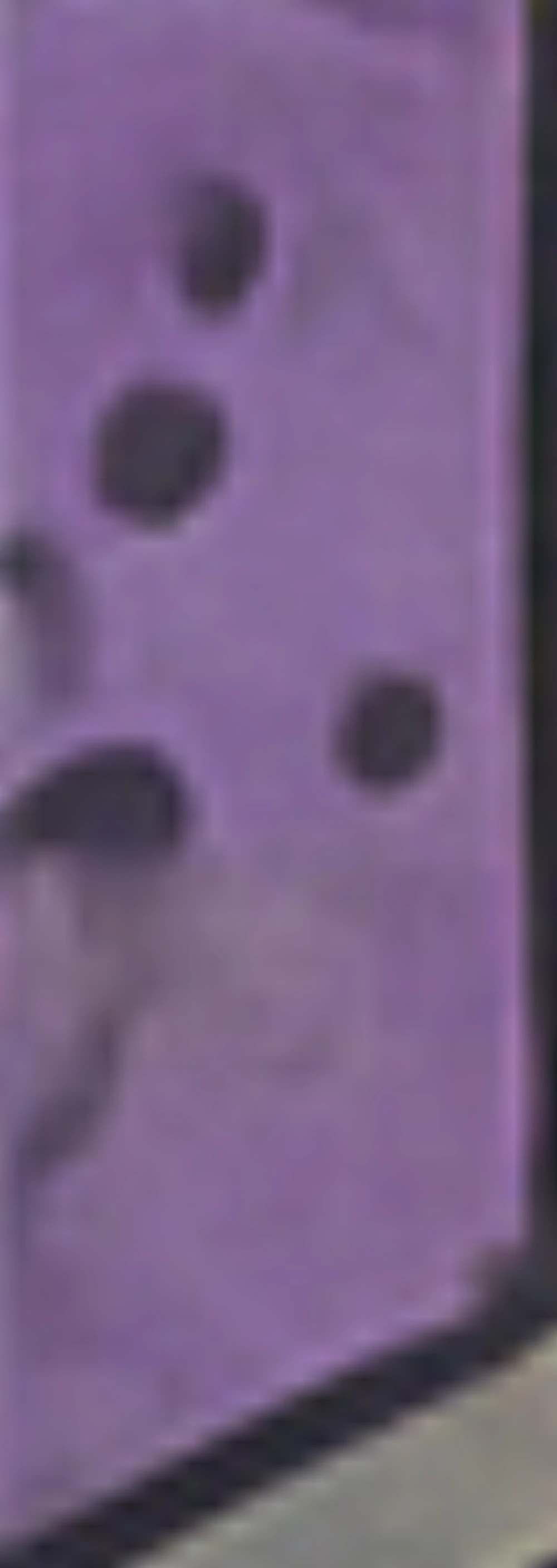 HFH