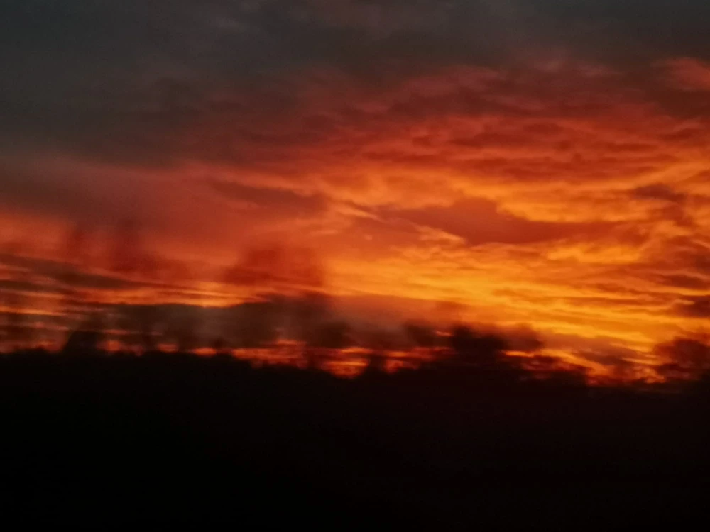 sky83