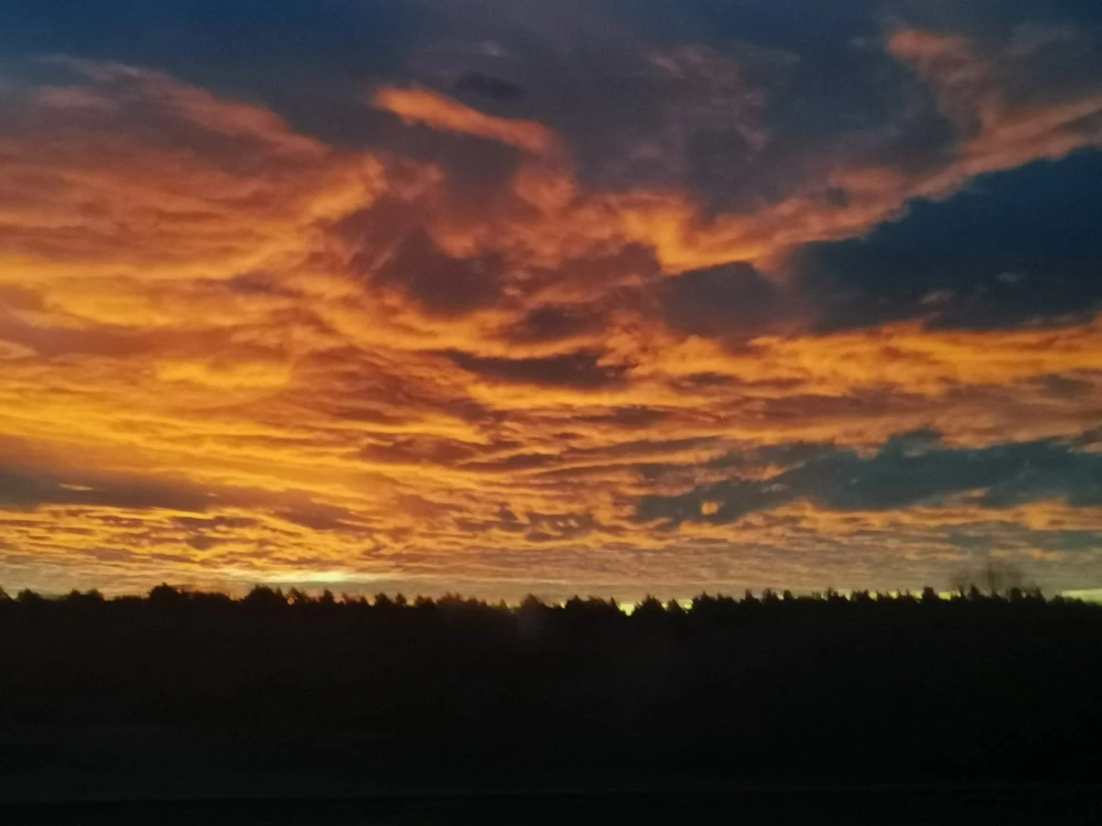 sky84