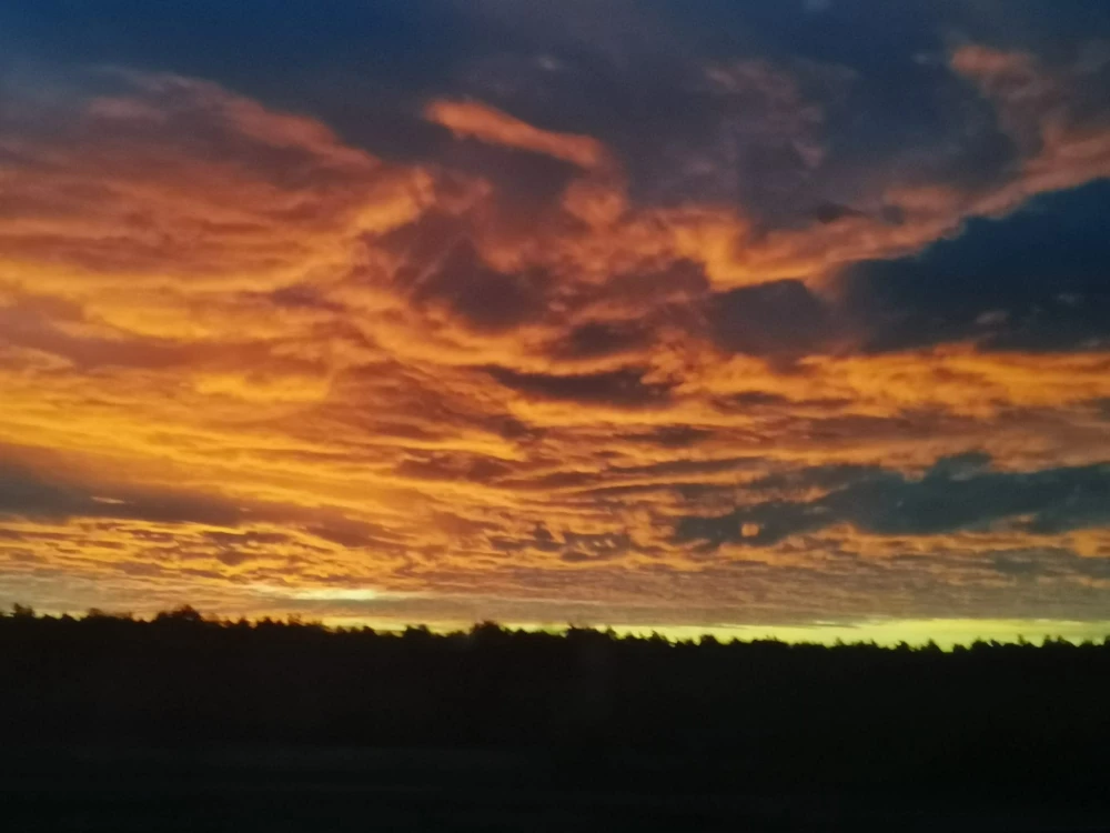 sky85