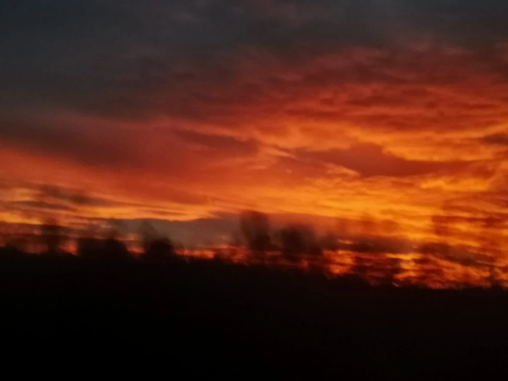 sky86