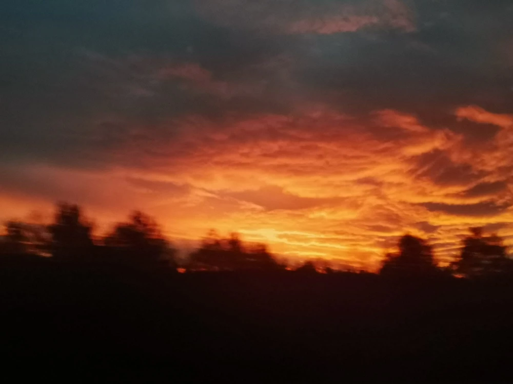 sky88